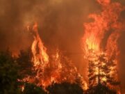 Πυρκαγιές – Αλληλεγγύη στους πληγέντες